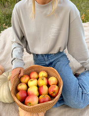 Fruit of the Spirit Grey LS Unisex Tee Christian Long Sleeve T-Shirt