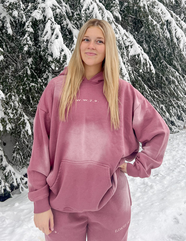 WWJD Pink Unisex Hoodie Christian Sweatshirt